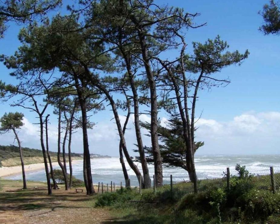 L'Essentiel - Love 5 Etoiles Talmont-Saint-Hilaire Εξωτερικό φωτογραφία